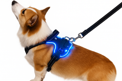 🐕 Arnés LED Antitirones Ergonómico