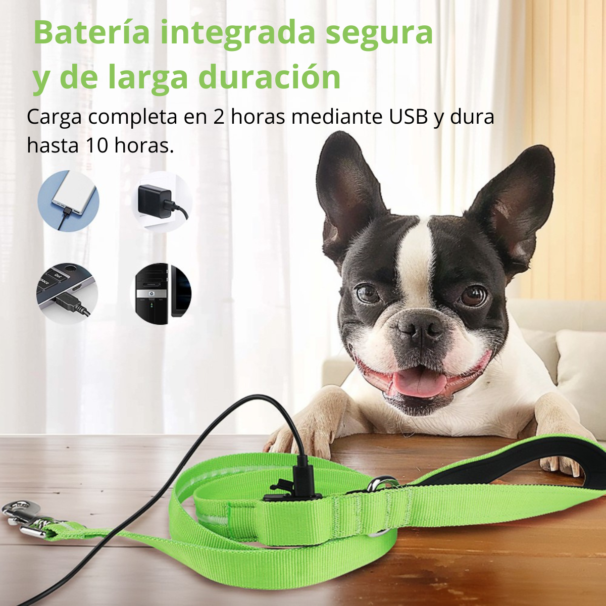 🐾 Correa LED – Seguridad y Estilo en Cada Paseo