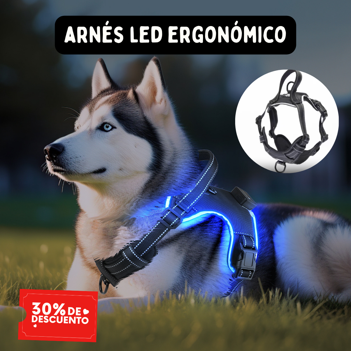 🐕 Arnés LED Antitirones Ergonómico
