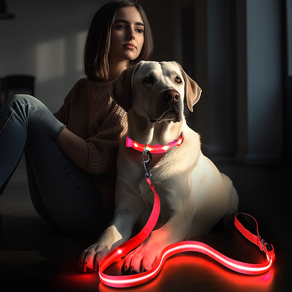 🐾 Correa LED – Seguridad y Estilo en Cada Paseo