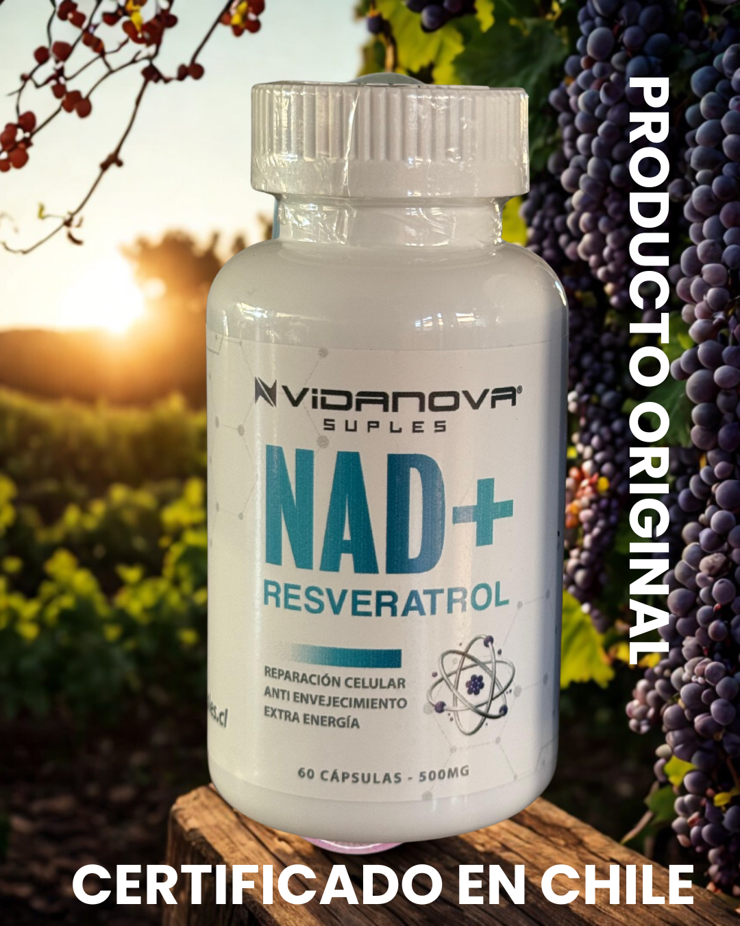 🧬 Recupera tu energía y juventud celular con NAD+ Resveratrol™