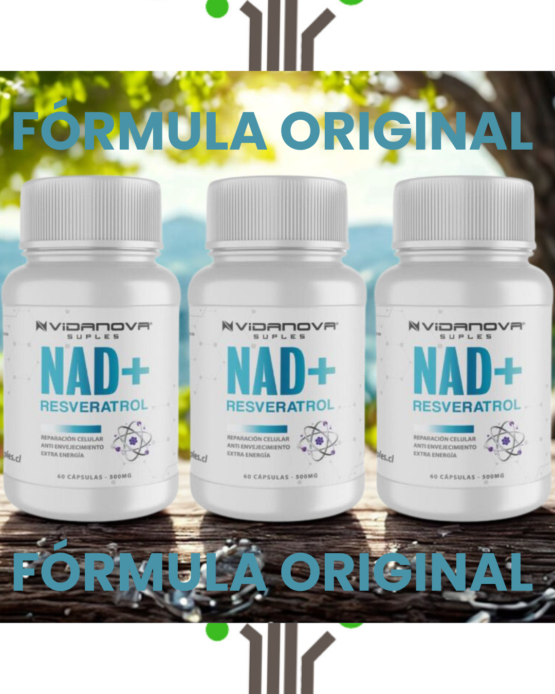 🧬 Recupera tu energía y juventud celular con NAD+ Resveratrol™