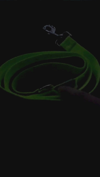🐾 Correa LED – Seguridad y Estilo en Cada Paseo